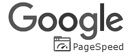 google pagespeed logo Nextpush agence digital marrakech maroc